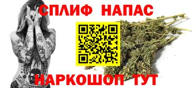 мяу мяу мука Будённовск
