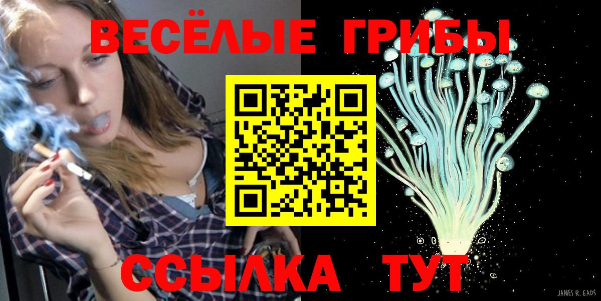 как найти закладки  Вход с VPN  Михайловск  Псилоцибиновые грибы мухоморы  Галлюциногенные грибы мухоморы 
